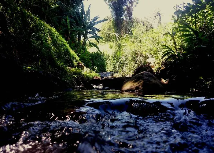 Africa\'S Eden Guesthouse