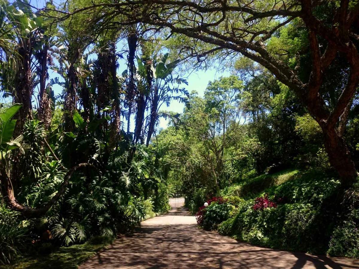 Africa's Eden Pietermaritzburg